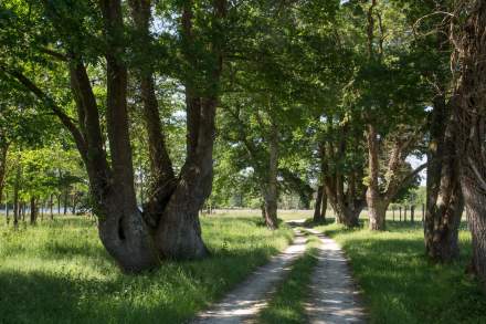Gîtes de Charme Touraine · Domaine de la Trigalière · Notre Forêt