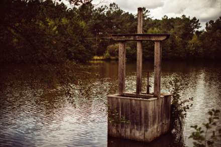 Foret du Domaine de la trigalière