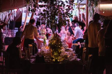 Foret du Domaine de la trigalière