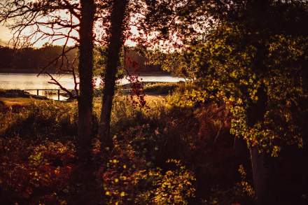 Gîtes de Charme Touraine · Domaine de la Trigalière · Notre Forêt