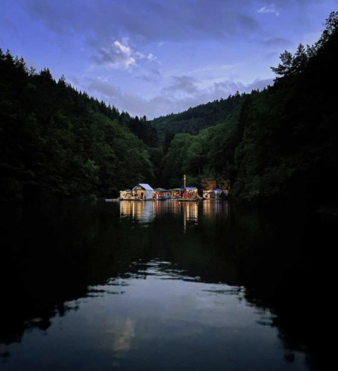 Nuits des forêts 2026