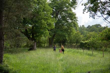 Foret du Domaine de la trigalière