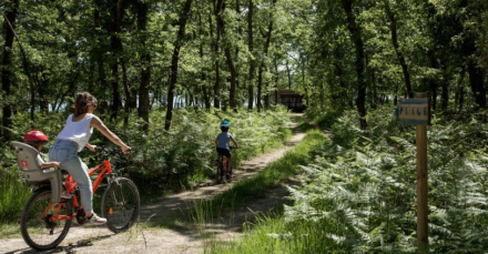 promenade au domaine de la Trigalière