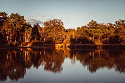 Domaine de la Trigalière · Gîtes Indre-et-Loire (37)