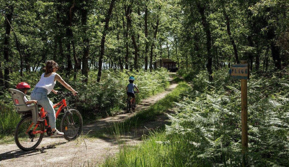 Promenade et balade à vélo