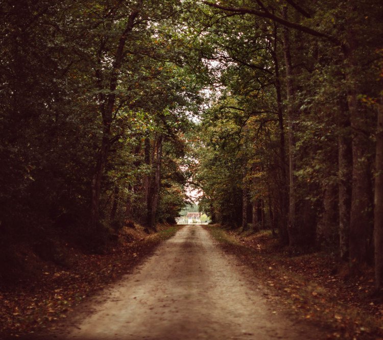 Chemin en forêt