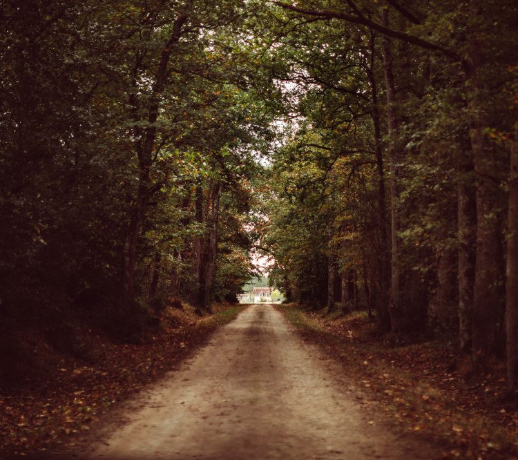 Chemin en forêt