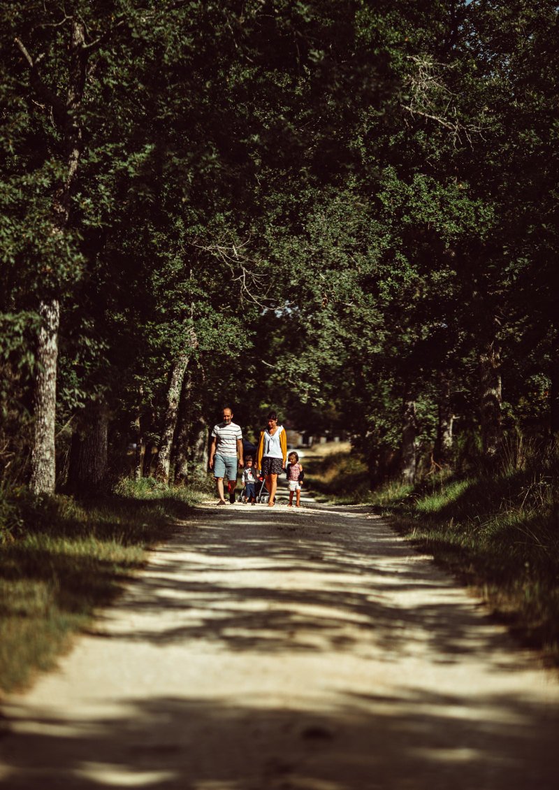 Famille qui se promène en forêt