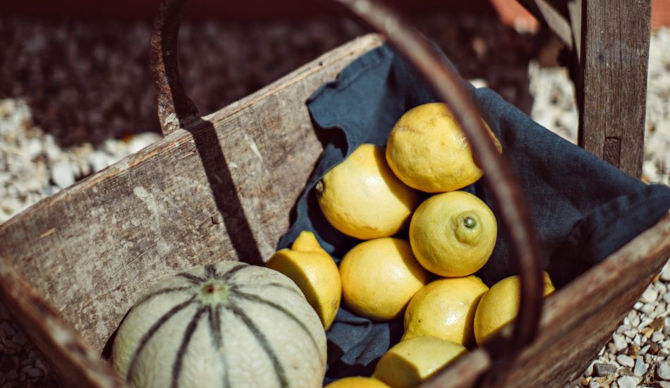 Panier de légumes